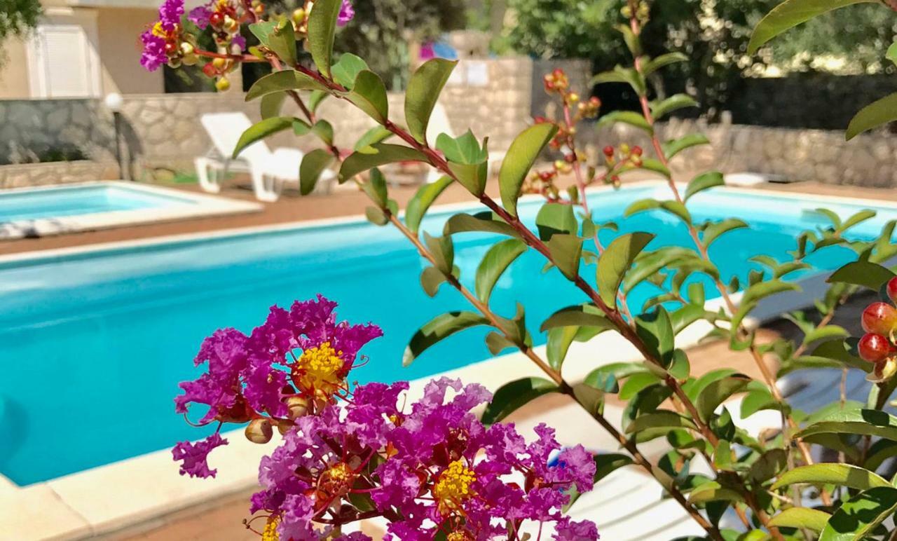 Apartments Villa Ana Mandre Εξωτερικό φωτογραφία