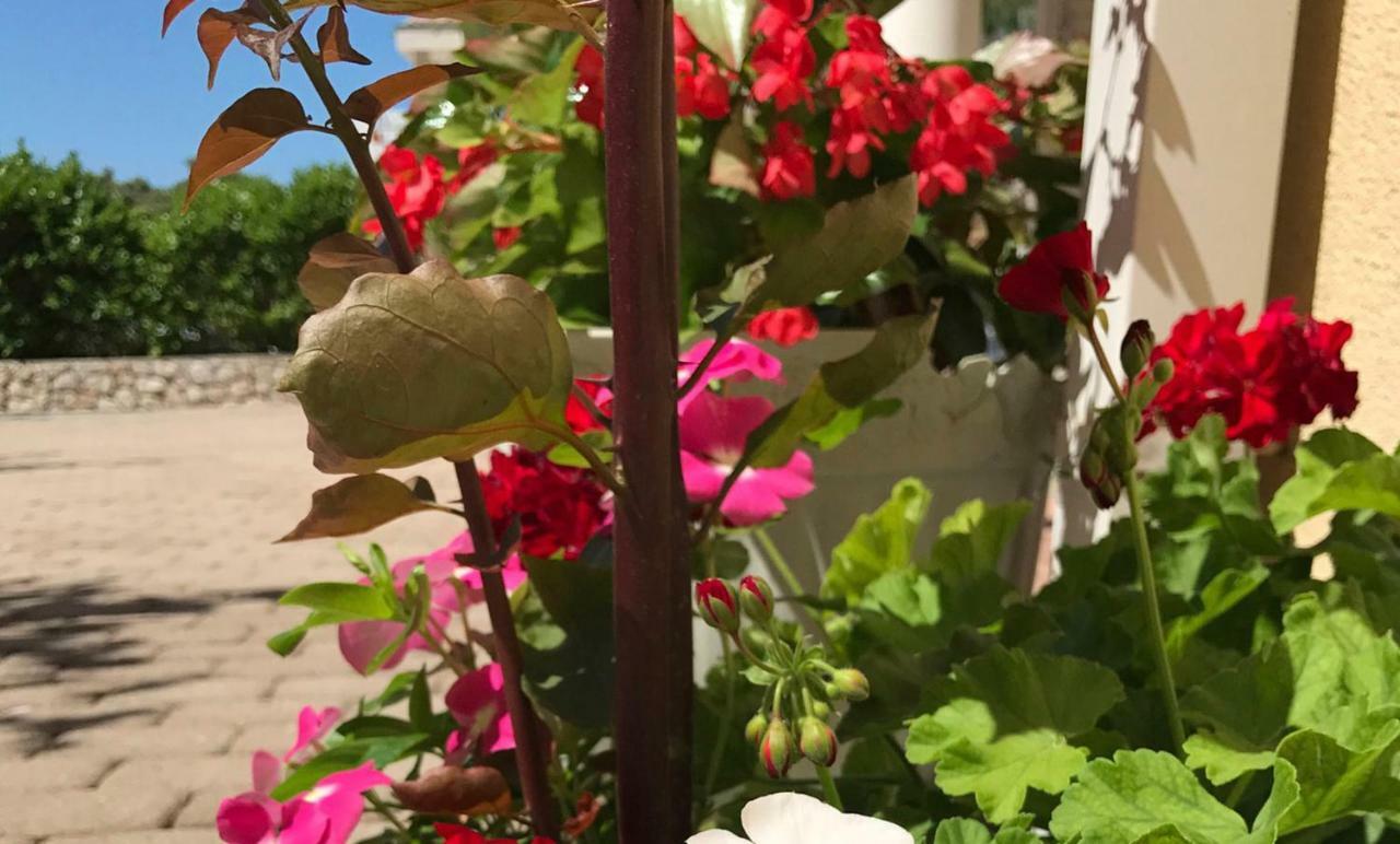 Apartments Villa Ana Mandre Εξωτερικό φωτογραφία